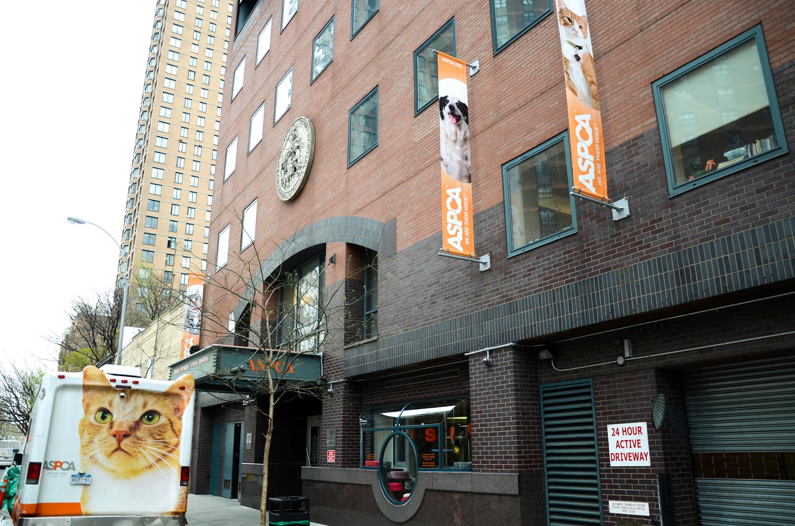 Photo of ASPCA Adoption Center in New York City, New York, United States - 2 Picture of Point of interest, Establishment