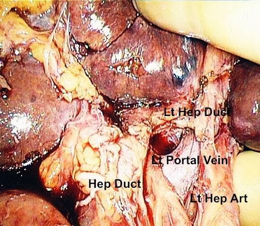 Photo of Dr. Andrew N de la Torre, MD in Englewood City, New Jersey, United States - 3 Picture of Point of interest, Establishment, Health, Doctor