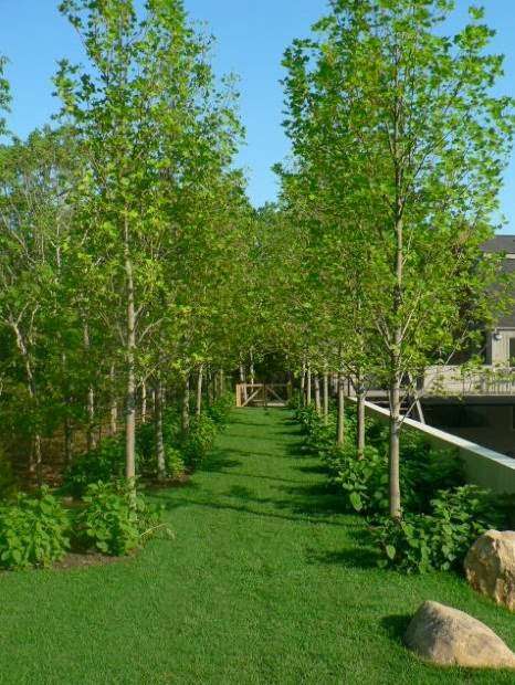 Photo of TAMARIS Landscape Design in Kings County City, New York, United States - 1 Picture of Point of interest, Establishment, General contractor