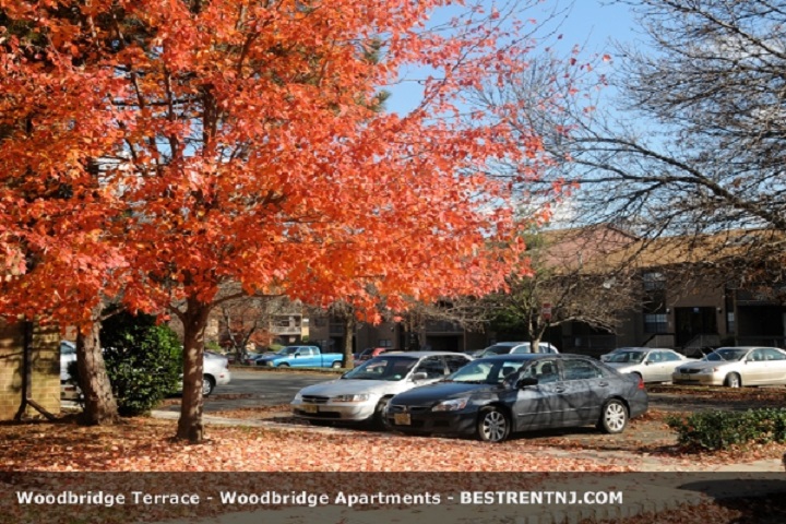 Photo of Woodbridge Terrace in Woodbridge City, New Jersey, United States - 3 Picture of Point of interest, Establishment