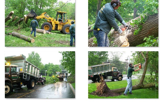 Photo of J F Martinez Landscaping in Queens City, New York, United States - 7 Picture of Point of interest, Establishment, General contractor, Park