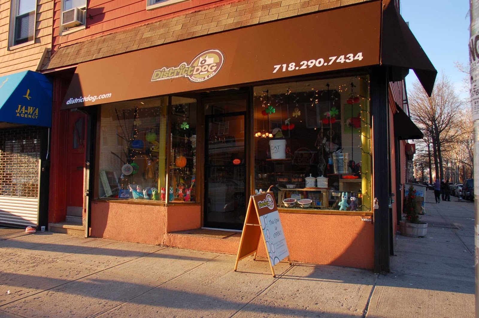 Photo of District Dog - A General Store for Pets in Brooklyn City, New York, United States - 1 Picture of Point of interest, Establishment, Store, Pet store