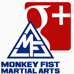 Photo of Monkey Fist Martial Arts in Queens City, New York, United States - 8 Picture of Point of interest, Establishment, Health, Gym