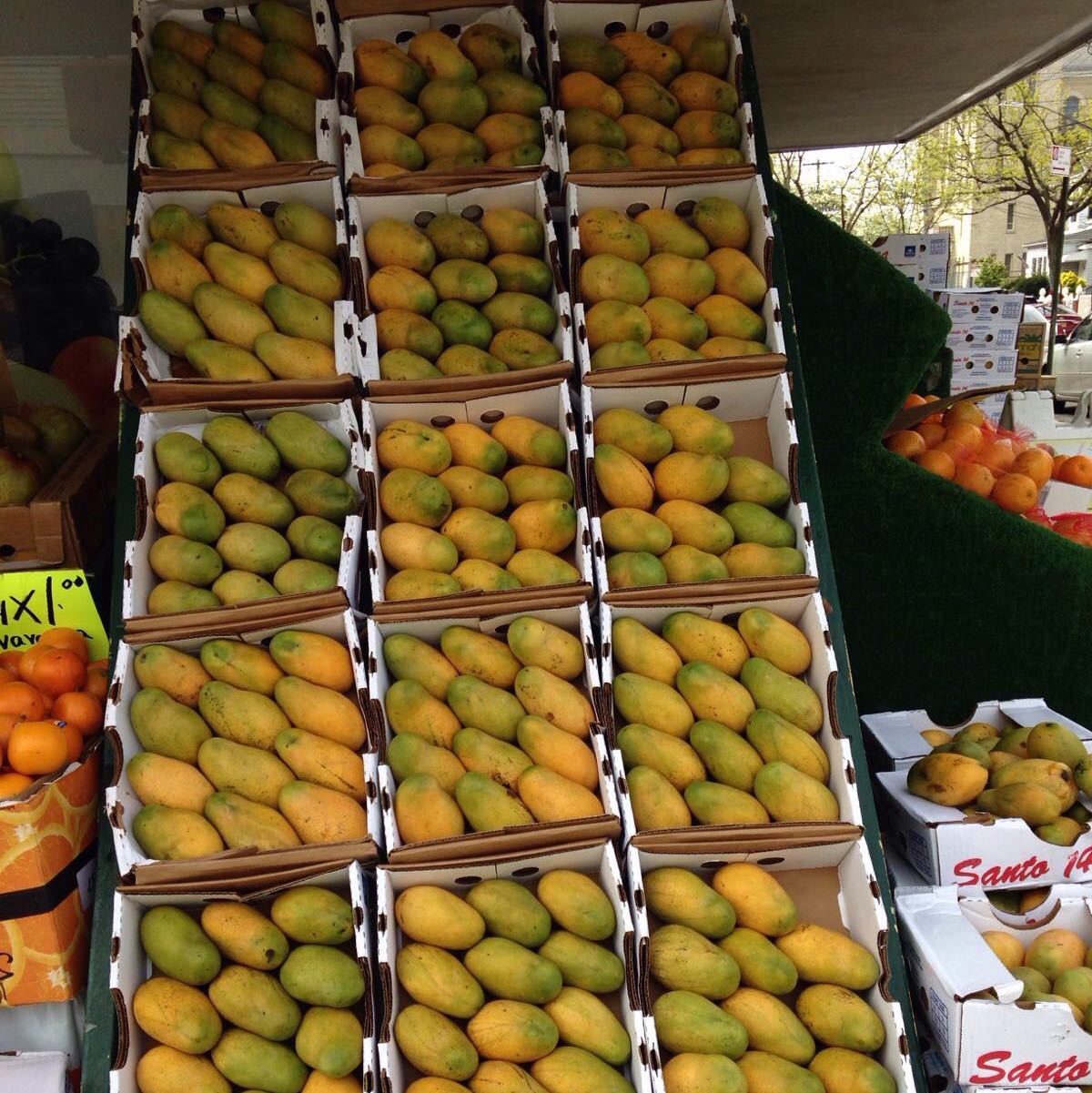 Photo of La Finquita #1: Fruits & Vegetables in Kings County City, New York, United States - 1 Picture of Food, Point of interest, Establishment, Store, Grocery or supermarket