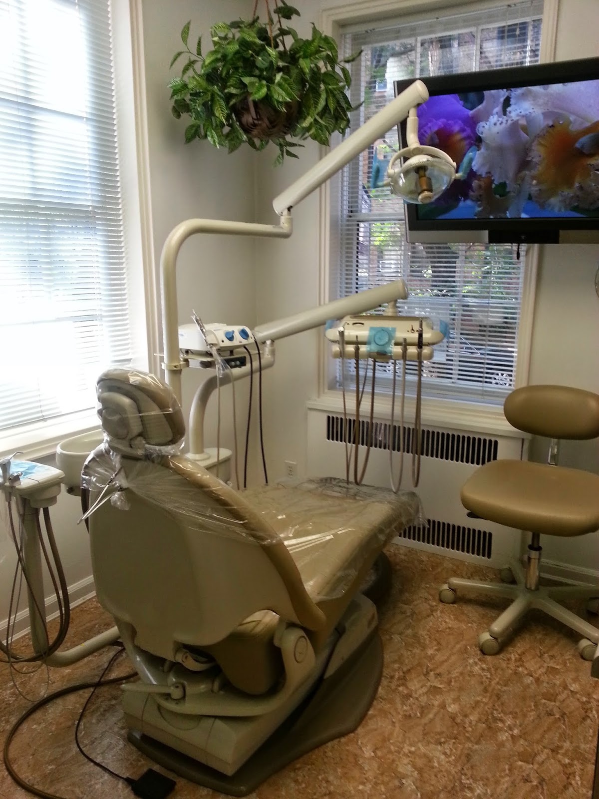 Photo of Ted Steczko, D.D.S. in Queens City, New York, United States - 2 Picture of Point of interest, Establishment, Health, Dentist