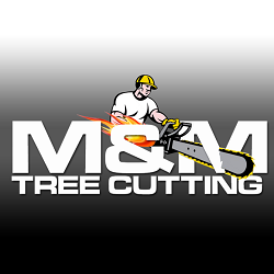 Photo of M&M Tree Cutting in Bronx City, New York, United States - 3 Picture of Point of interest, Establishment