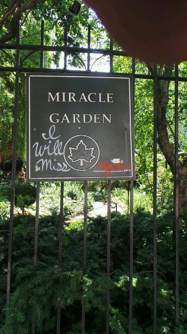 Photo of Miracle Garden in New York City, New York, United States - 9 Picture of Point of interest, Establishment, Park