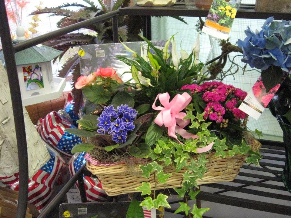Photo of Flowers by Carole of Westbury in Westbury City, New York, United States - 7 Picture of Point of interest, Establishment, Store, Florist
