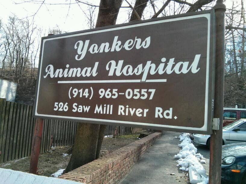 Photo of Yonkers Animal Hospital in Yonkers City, New York, United States - 3 Picture of Point of interest, Establishment, Store, Health, Veterinary care