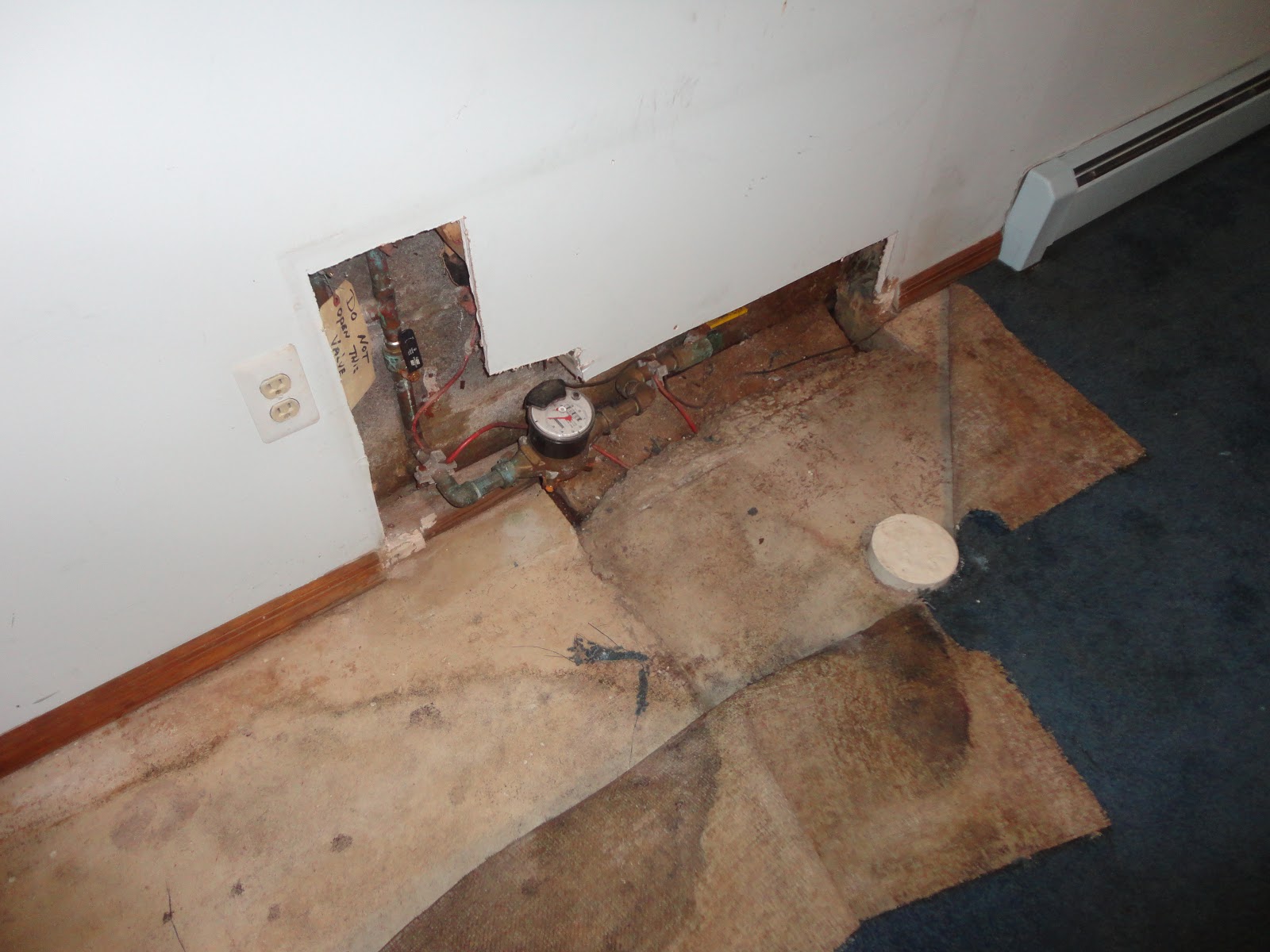 Photo of Mold & Water Damage SVC in Larchmont City, New York, United States - 9 Picture of Point of interest, Establishment