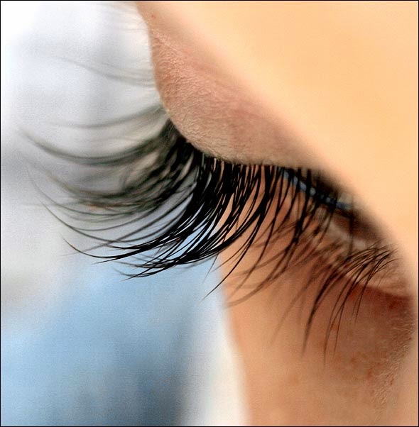 Photo of Keico Eyelashes Extension in Fort Lee City, New Jersey, United States - 3 Picture of Point of interest, Establishment, Beauty salon