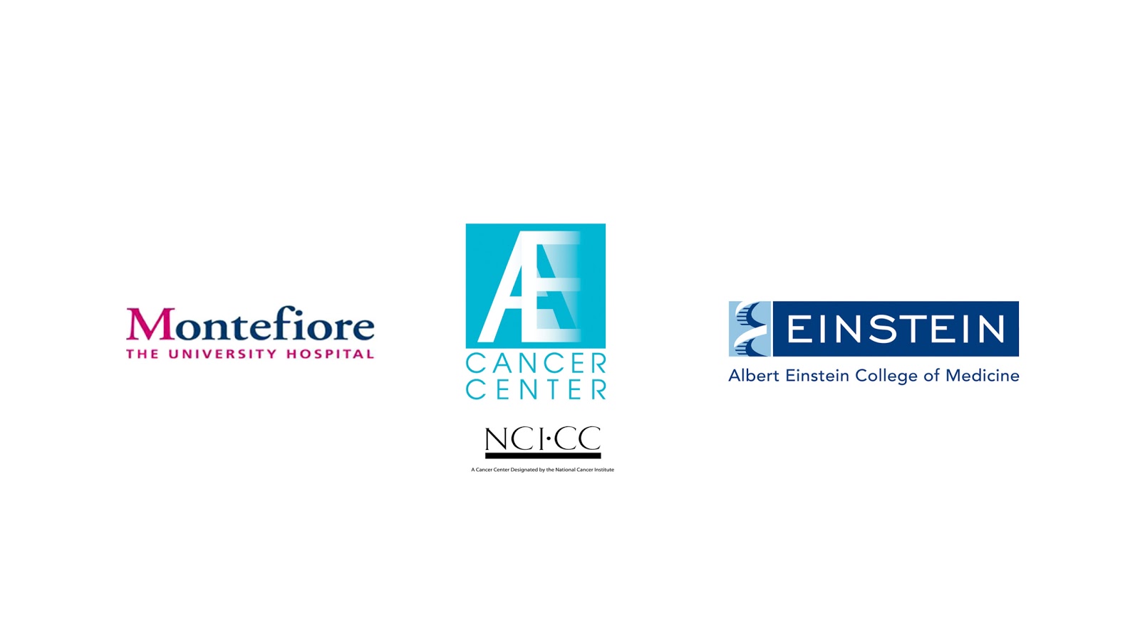 Photo of Albert Einstein Cancer Center in Bronx City, New York, United States - 1 Picture of Point of interest, Establishment