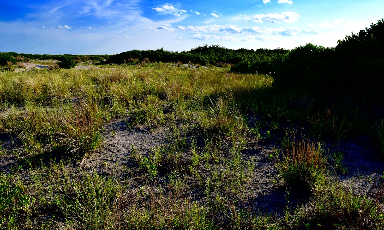 Photo of Breezy Point Tip (Gateway National Recreation Area) in New York City, New York, United States - 1 Picture of Point of interest, Establishment, Park