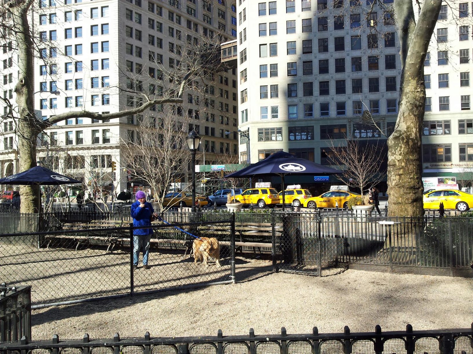 Photo of Madison Square Dog Run in New York City, New York, United States - 6 Picture of Point of interest, Establishment