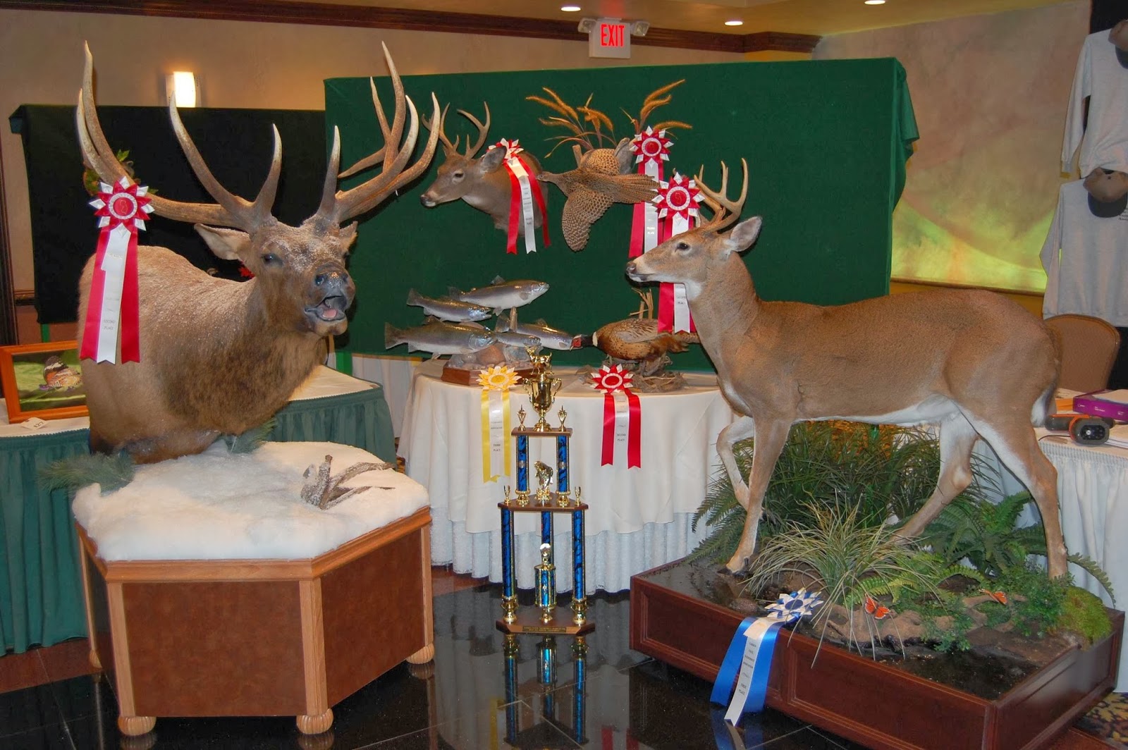 Photo of Jersey Jay's Taxidermy in Clifton City, New Jersey, United States - 3 Picture of Point of interest, Establishment