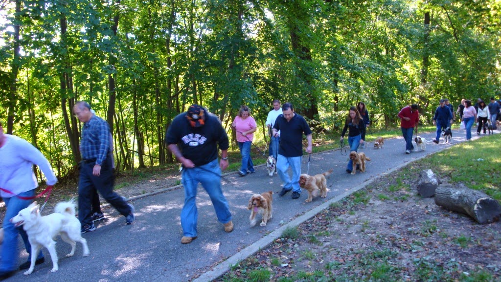 Photo of Anthony Jerone's School Of Dog Training & Career Inc. in Whitestone City, New York, United States - 5 Picture of Point of interest, Establishment, School