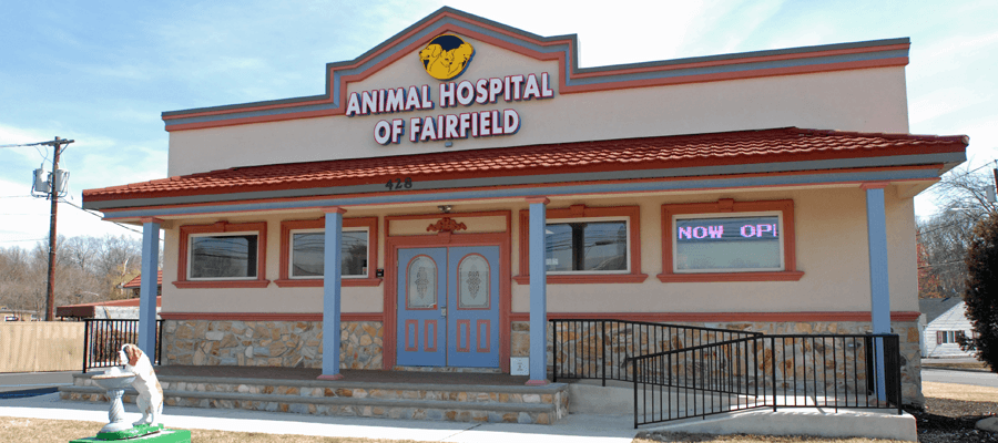 Photo of Animal Hospital of Fairfield in Fairfield City, New Jersey, United States - 2 Picture of Point of interest, Establishment, Veterinary care