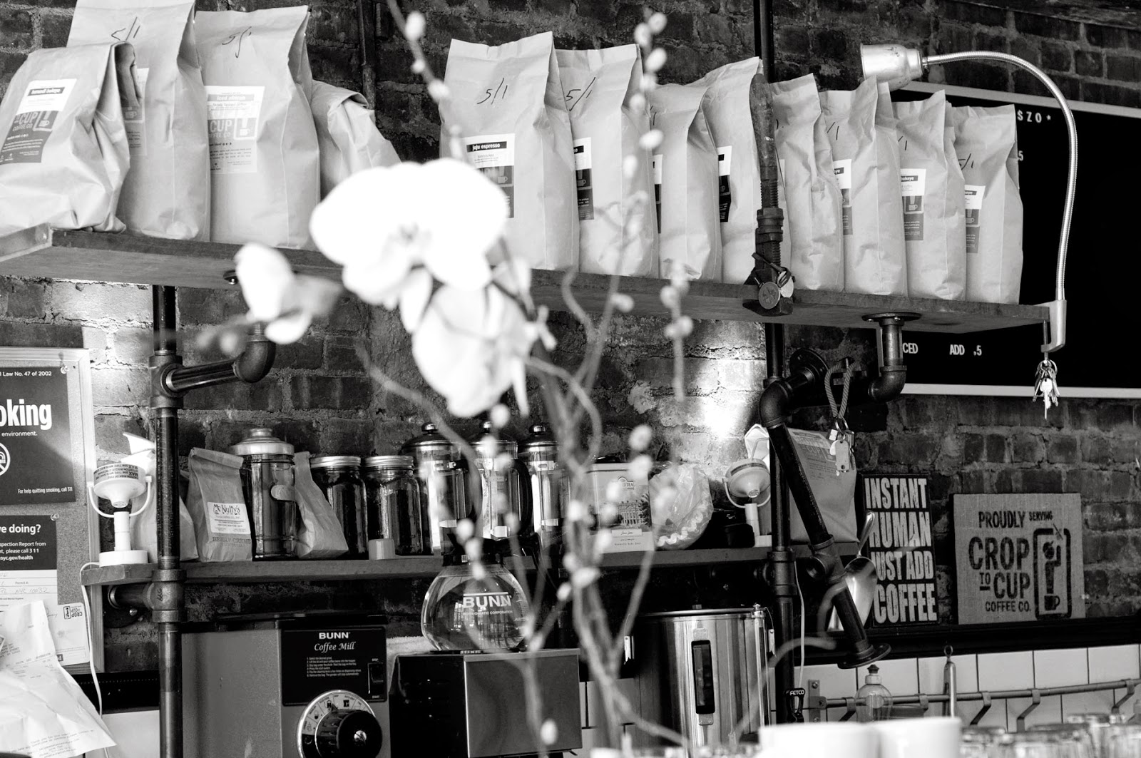 Photo of Taszo Espresso Bar in New York City, New York, United States - 7 Picture of Restaurant, Food, Point of interest, Establishment, Cafe, Bar