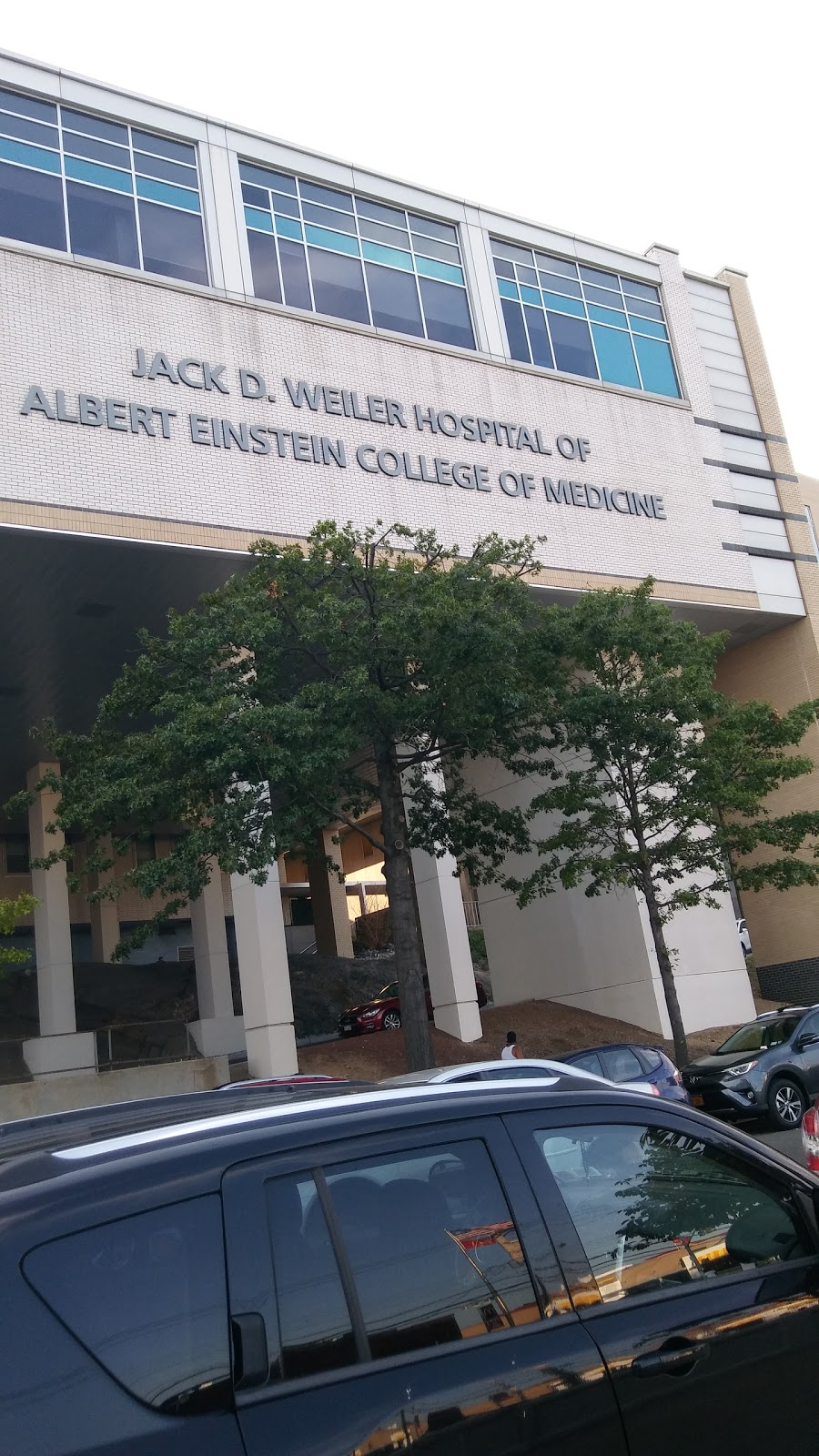 Photo of Albert Einstein College of Medicine: Jack D Weiler Hospital in Bronx City, New York, United States - 2 Picture of Point of interest, Establishment, Health, Hospital, Doctor