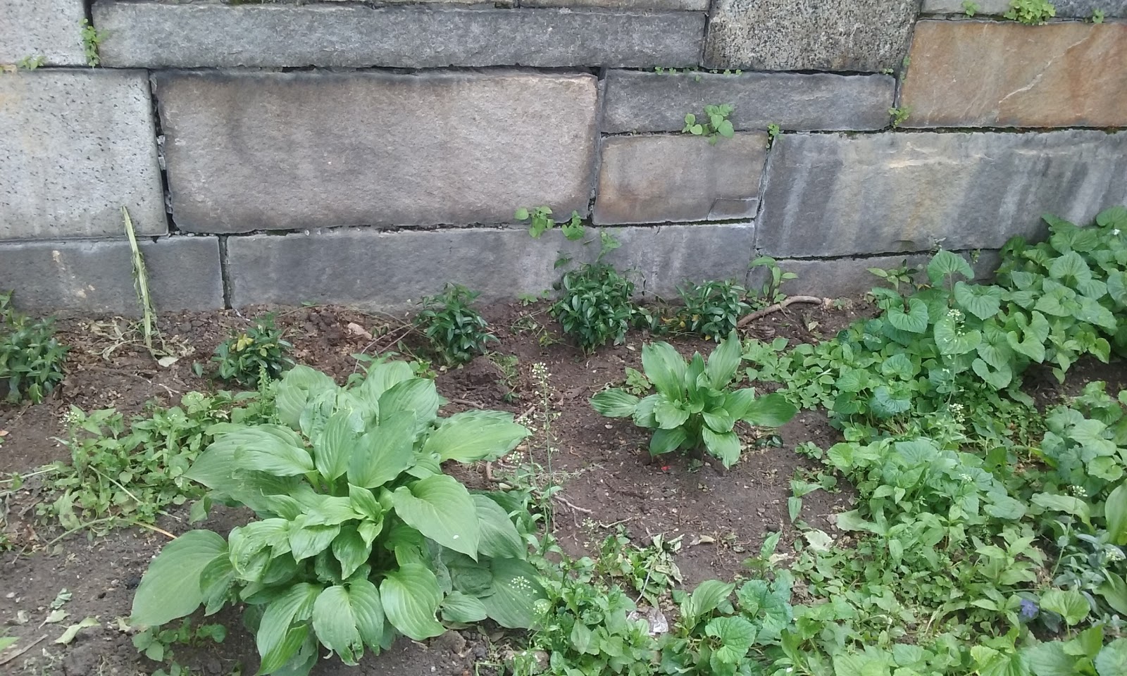 Photo of Riverside Park Traveling Rings in New York City, New York, United States - 4 Picture of Point of interest, Establishment