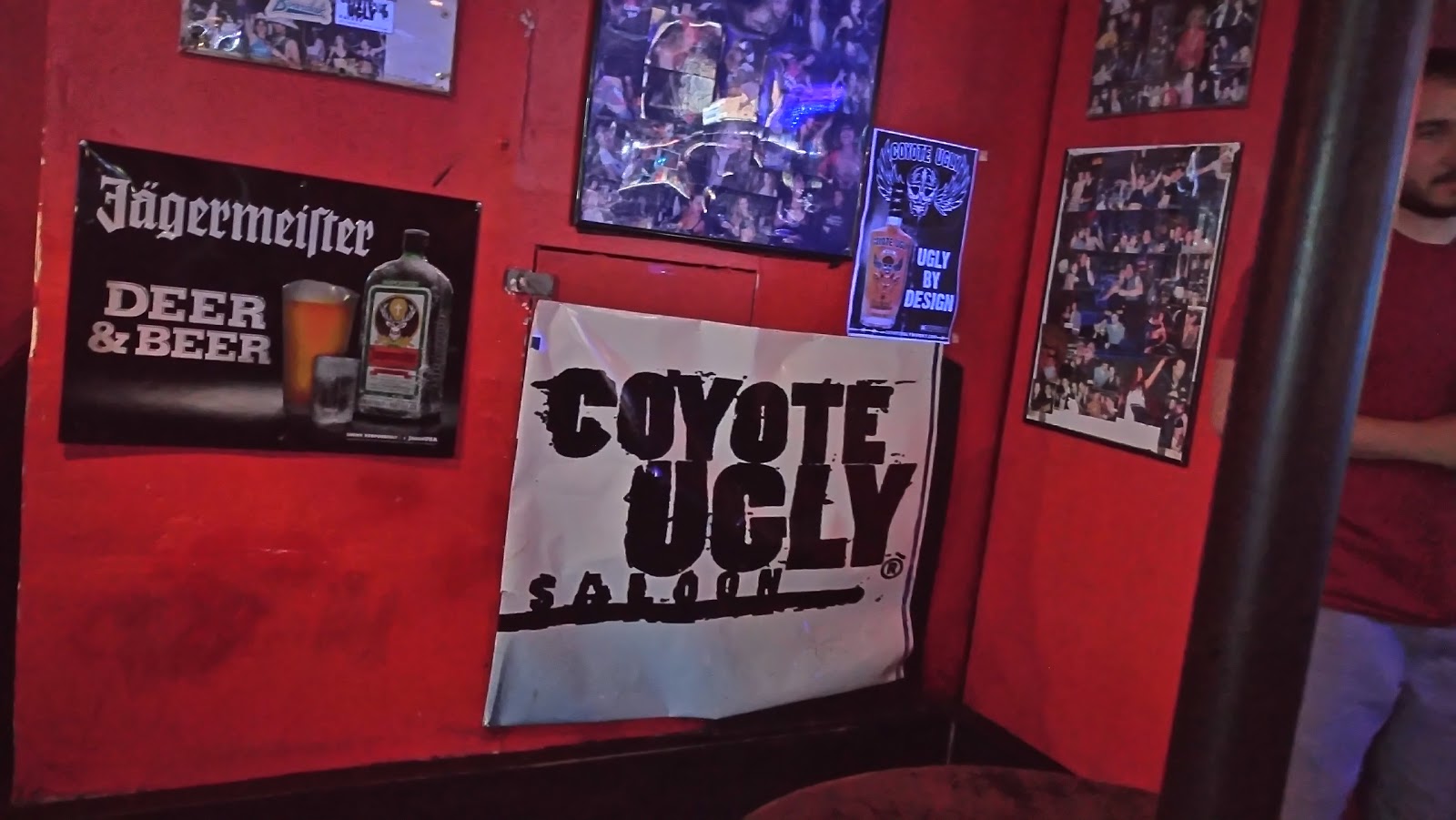 Photo of Coyote Ugly in New York City, New York, United States - 8 Picture of Point of interest, Establishment, Bar