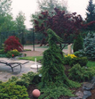 Photo of Antine Landscaping Contracting in Ridgefield City, New Jersey, United States - 6 Picture of Point of interest, Establishment, General contractor