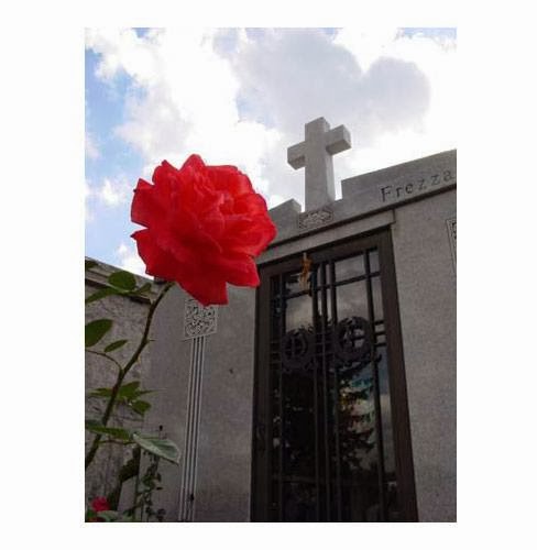 Photo of St. Michael's Cemetery in East Elmhurst City, New York, United States - 6 Picture of Point of interest, Establishment, Funeral home, Cemetery