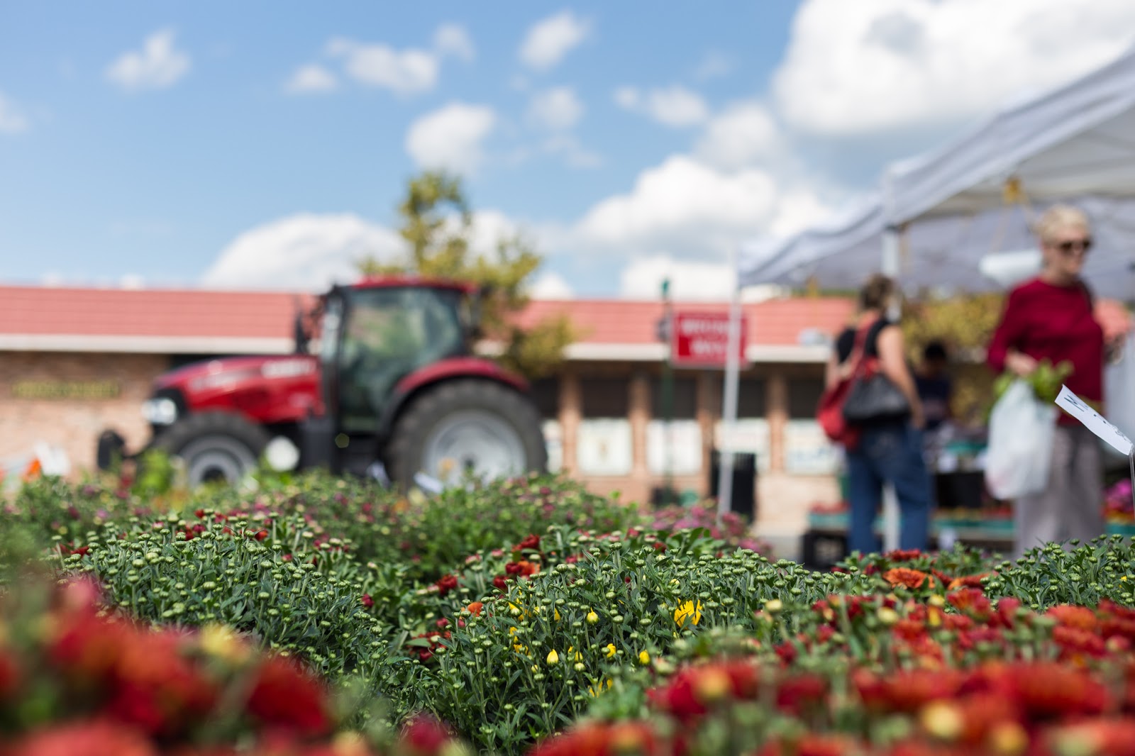 Photo of Village of Tuckahoe Farmers Market in Tuckahoe City, New York, United States - 2 Picture of Food, Point of interest, Establishment