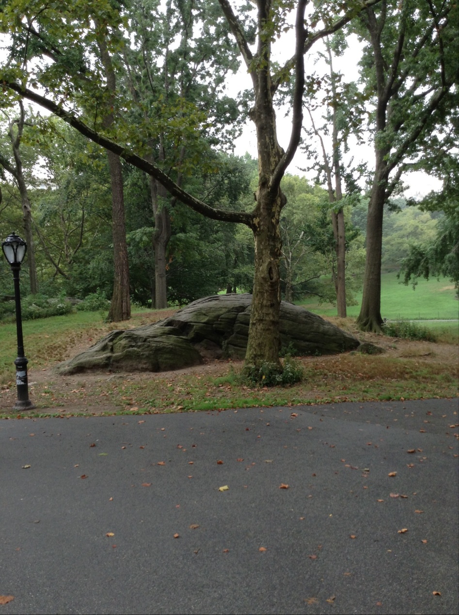 Photo of Hans Christian Andersen Statue in New York City, New York, United States - 7 Picture of Point of interest, Establishment