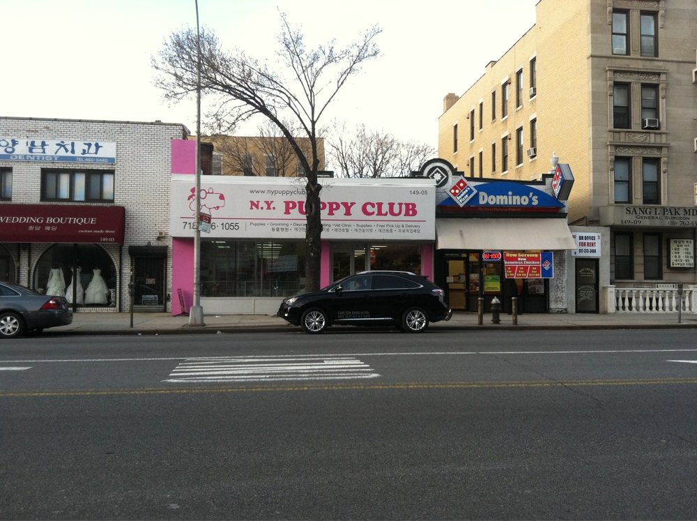 Photo of NY Puppy Club (Northern) in Queens City, New York, United States - 2 Picture of Point of interest, Establishment, Store, Pet store