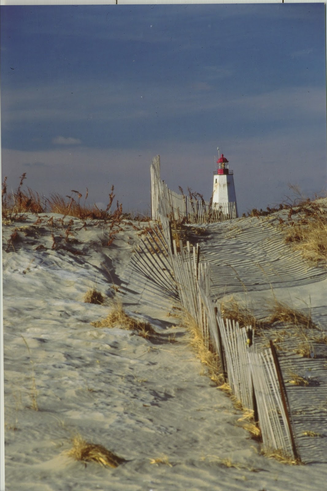 Photo of Sea Gulls' Nest in Highlands City, New Jersey, United States - 2 Picture of Restaurant, Food, Point of interest, Establishment, Bar