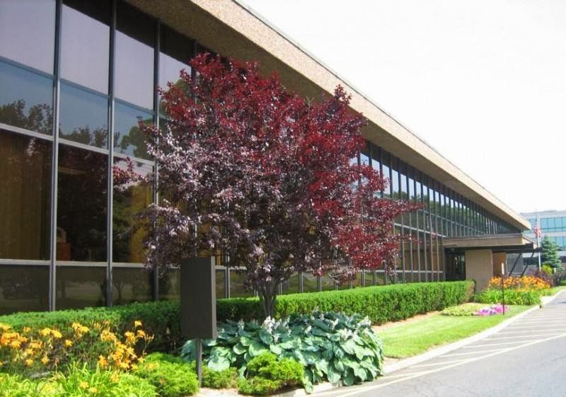 Photo of US Executive Center in Englewood Cliffs City, New Jersey, United States - 1 Picture of Point of interest, Establishment