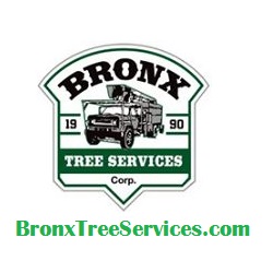 Photo of Bronx Tree Services Corp. in Bronx City, New York, United States - 5 Picture of Point of interest, Establishment