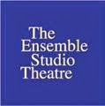 Photo of Ensemble Studio Theatre in New York City, New York, United States - 5 Picture of Point of interest, Establishment