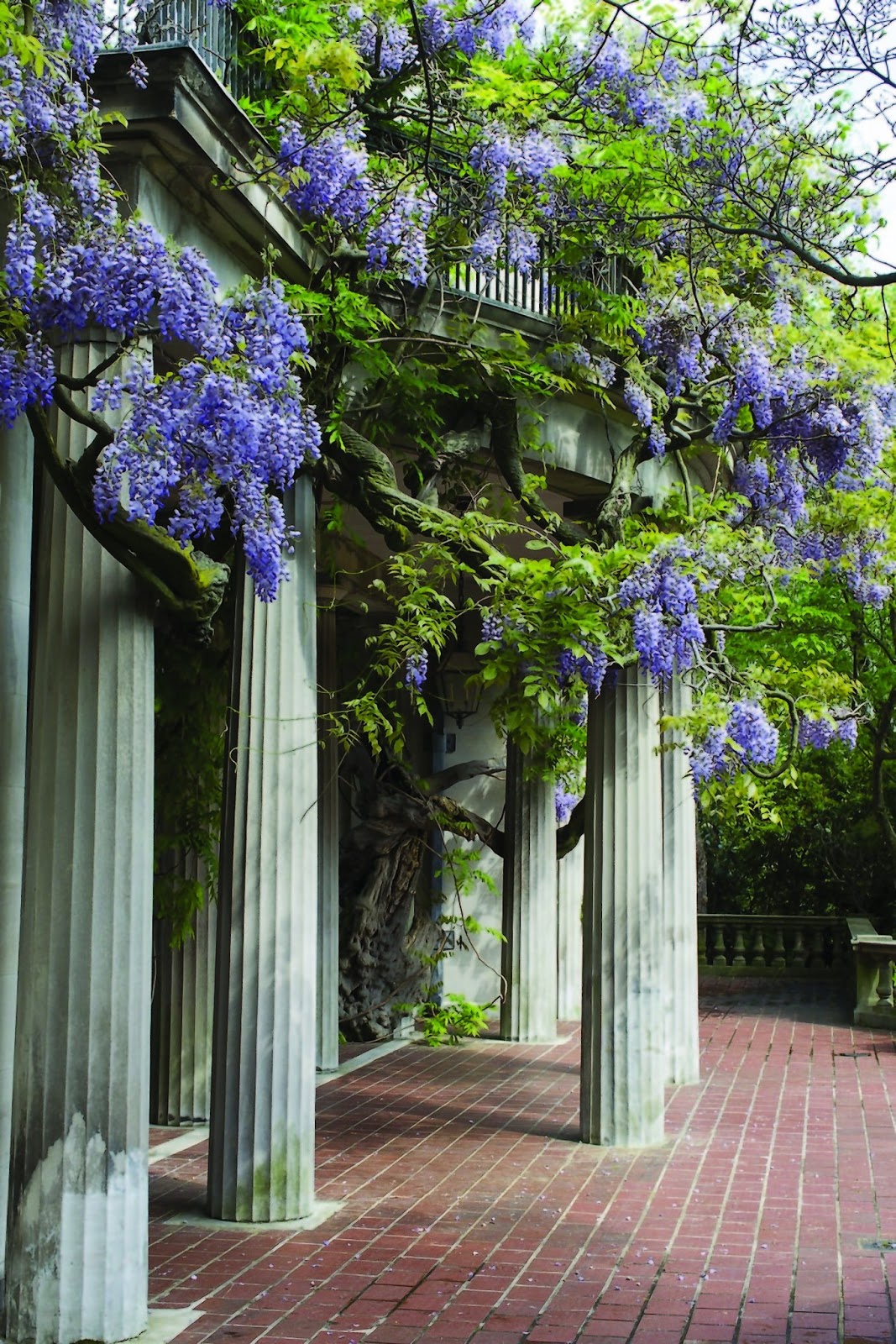 Photo of Van Vleck House & Gardens in Montclair City, New Jersey, United States - 5 Picture of Point of interest, Establishment, Store, Park