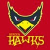 Photo of Bergen Hawks Football in Palisades Park City, New Jersey, United States - 1 Picture of Point of interest, Establishment