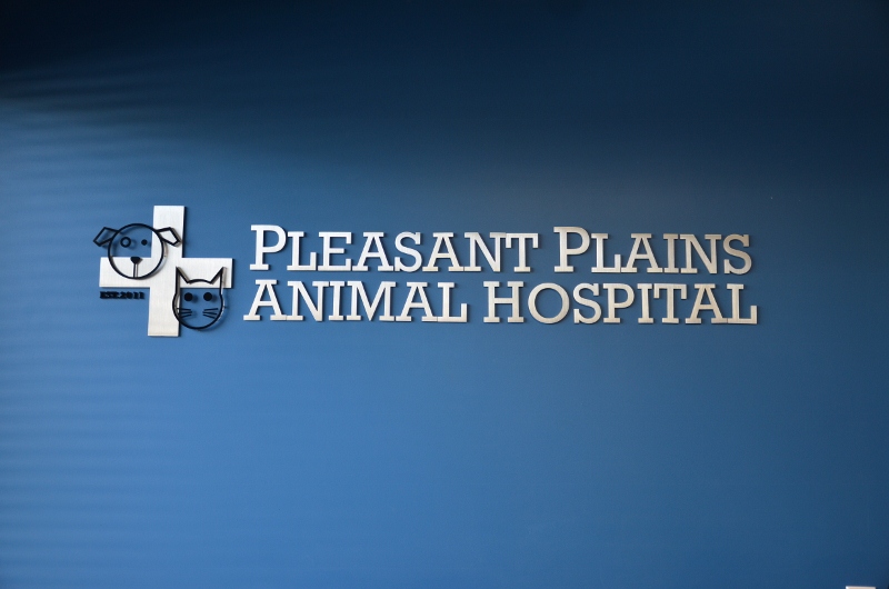 Photo of Pleasant Plains Animal Hospital in Staten Island City, New York, United States - 9 Picture of Point of interest, Establishment, Veterinary care