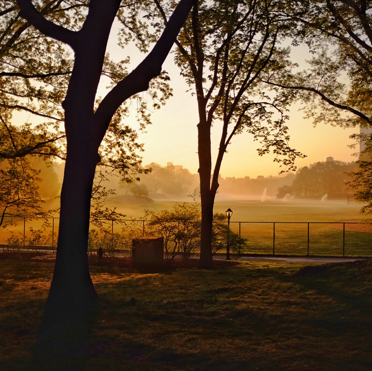 Photo of North Meadow Baseball Field 3 in New York City, New York, United States - 4 Picture of Point of interest, Establishment