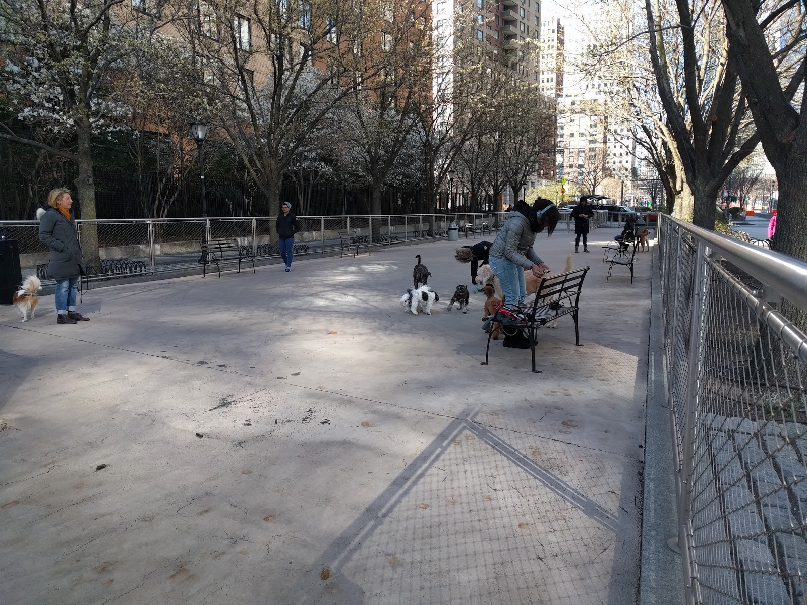 Photo of West Thames Park in New York City, New York, United States - 5 Picture of Point of interest, Establishment, Park