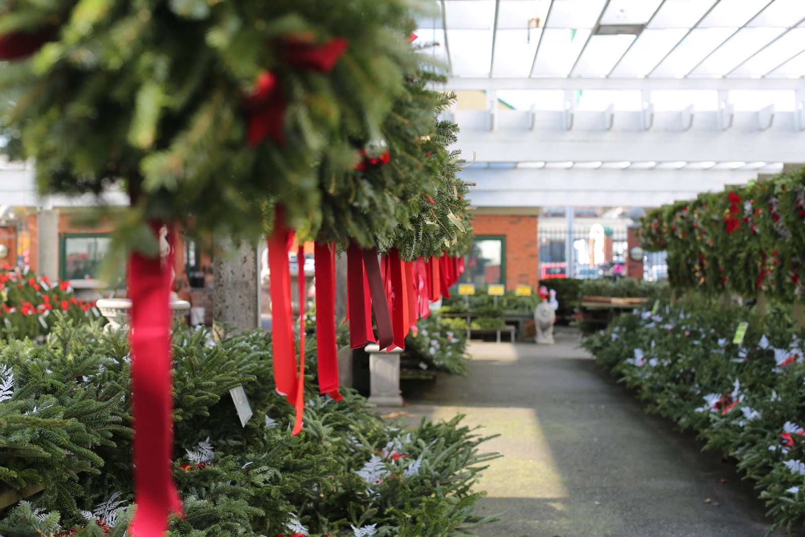 Photo of Cedar Grove Christmas Trees in Cedar Grove City, New Jersey, United States - 2 Picture of Food, Point of interest, Establishment