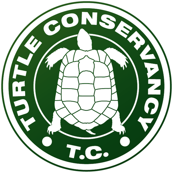 Photo of Turtle Conservancy HQ in New York City, New York, United States - 1 Picture of Point of interest, Establishment