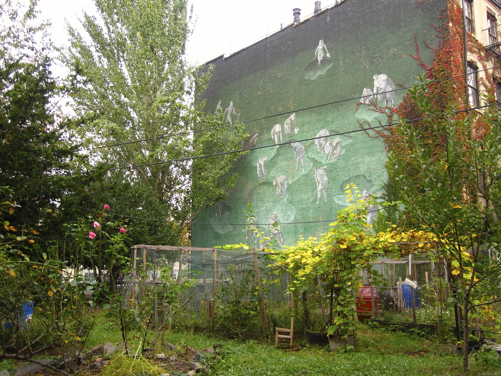 Photo of Pleasant Village Community Garden in New York City, New York, United States - 2 Picture of Point of interest, Establishment, Park