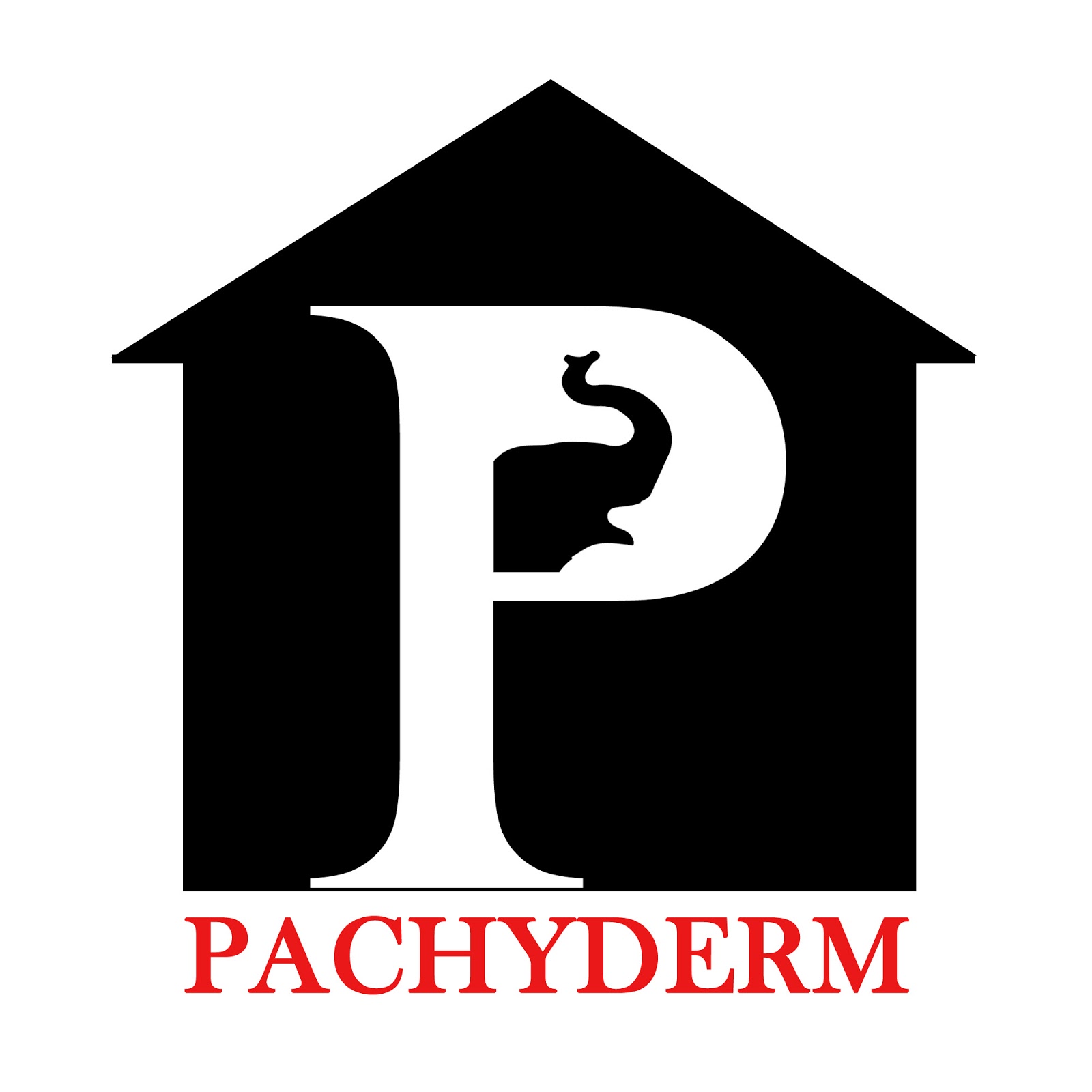 Photo of Pachyderm Realty in Bronx City, New York, United States - 9 Picture of Point of interest, Establishment