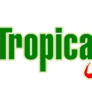 Photo of Tropical Sensation in New York City, New York, United States - 7 Picture of Restaurant, Food, Point of interest, Establishment