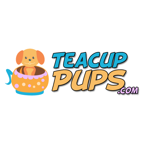 Photo of Tea Cup Pups in Brooklyn City, New York, United States - 3 Picture of Point of interest, Establishment, Store, Pet store