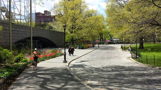 Photo of Theodore Roosevelt Park in New York City, New York, United States - 8 Picture of Point of interest, Establishment, Park