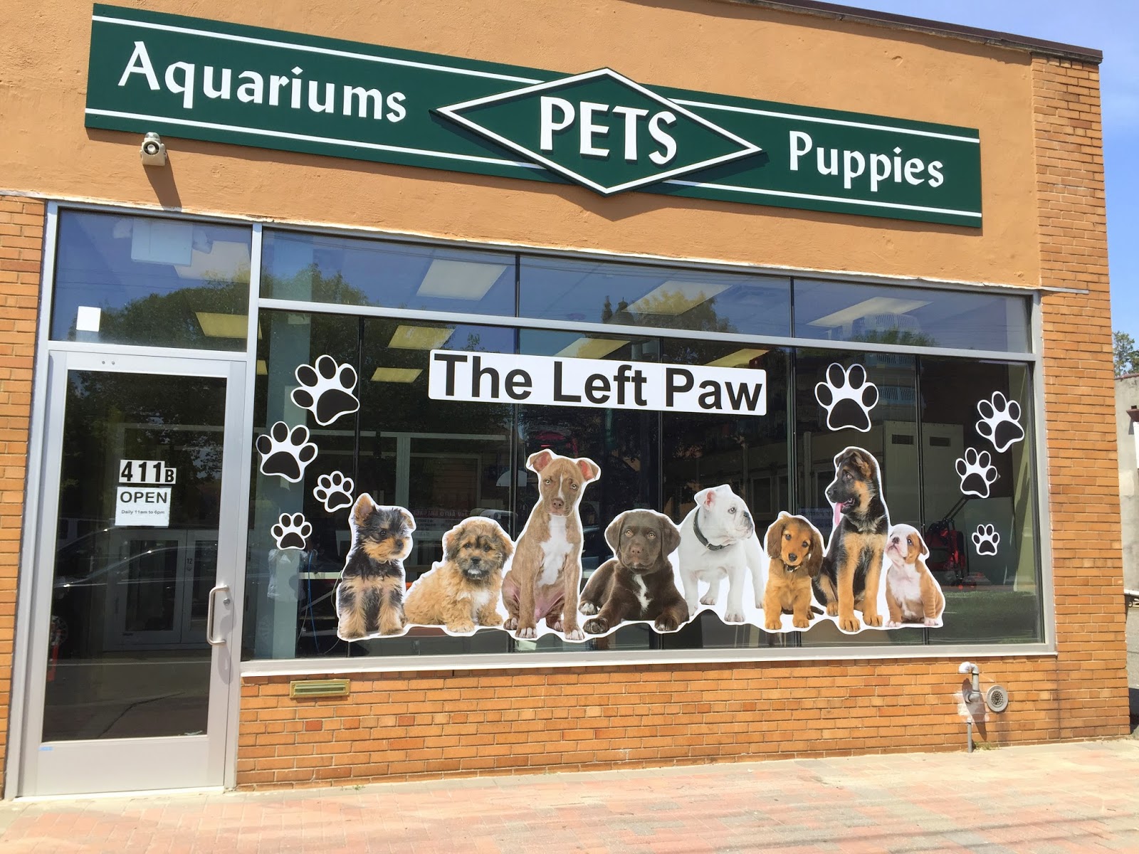 Photo of The Left Paw - The best place to find your new puppy in New Hyde Park City, New York, United States - 2 Picture of Food, Point of interest, Establishment, Store, Pet store