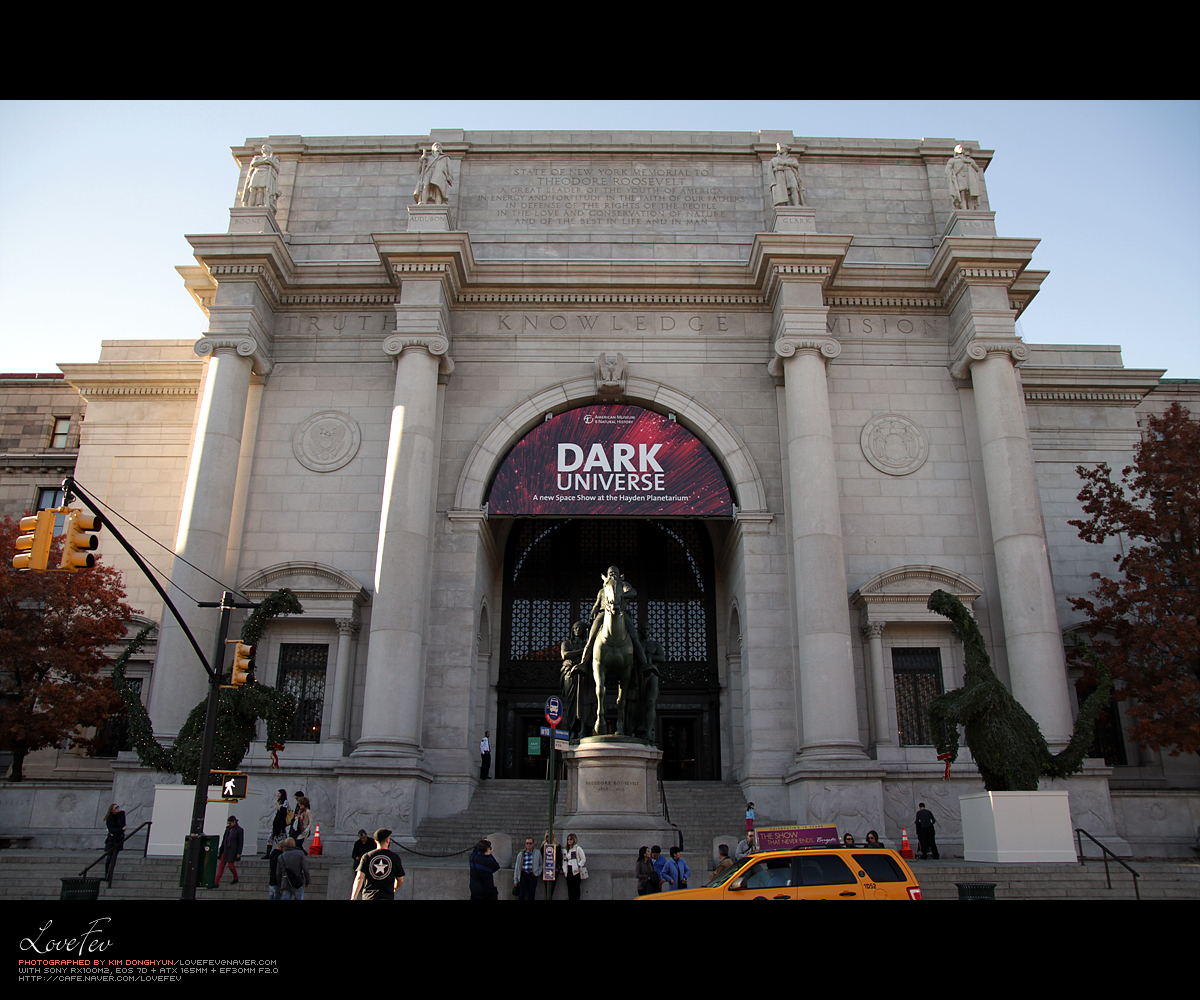 Photo of The Museum Shop - American Museum of Natural History in New York City, New York, United States - 3 Picture of Point of interest, Establishment, Store