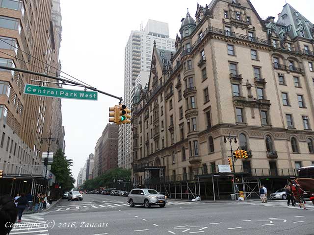 Photo of Strawberry Fields in New York City, New York, United States - 1 Picture of Point of interest, Establishment