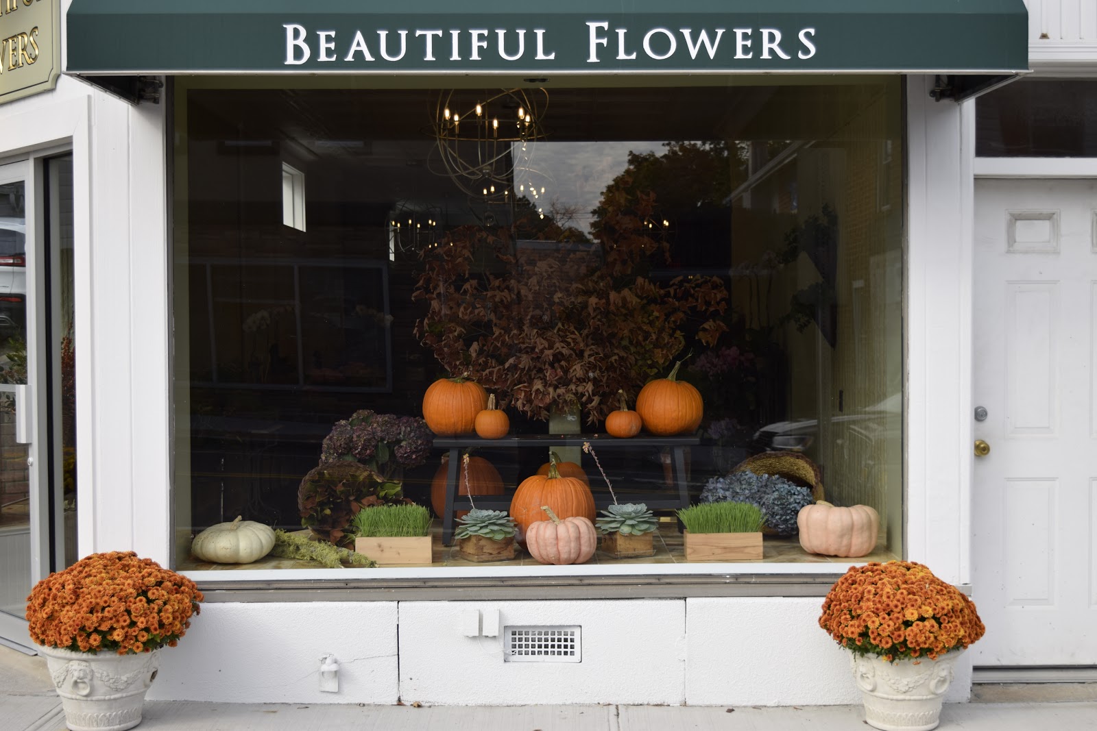 Photo of Beautiful Flowers in Glen Head City, New York, United States - 1 Picture of Point of interest, Establishment, Store, Florist